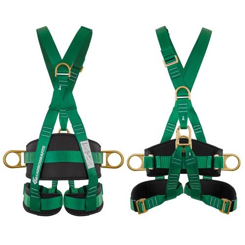 Cinturão Evolution 3P